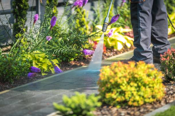 Best Fence Cleaning  in Leetonia, OH