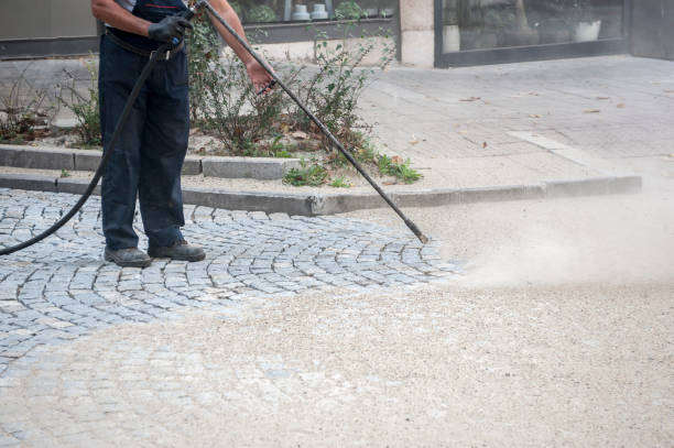 Best Pre-Holiday Cleaning  in Leetonia, OH